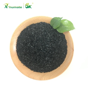 X-humate Biostimulant Organique Ascophyllum Nodosum à base d'extrait d'algues <span class=keywords><strong>pour</strong></span> un ROI élevé - Product Image 6