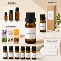 Recharge d'huile parfumée personnalisée pour diffuseur à bâtonnets 10ml, notes fraîches, aromathérapie pour la maison, OEM/ODM disponible