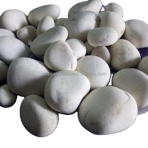 White and off White <strong>Stone</strong> for Garden Decor Fountain Decoration <strong>Round</strong> Shape Finish Big Size <strong>Pebbles</strong> <strong>Stone</strong> Bulk Export Quality
