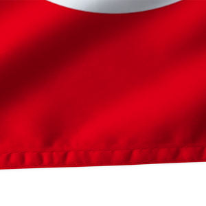 Nouveaux produits Drapeau de la <span class=keywords><strong>Tunisie</strong></span> en polyester 3x5 personnalisé à double couture - Product Image 2