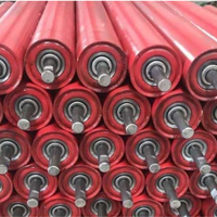 Rouleau de convoyeur à bande transporteuse à coque en nylon HDPE résistant à la corrosion et anti-poussière pour l'industrie cimentière