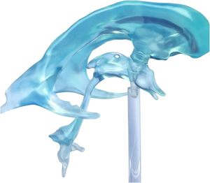 Modello di Ventricoli Cerebrali Umani per Insegnamento Medico, Strumento Didattico per Bambini, Espositore Educativo, Modello di Ventricolo Cerebrale CE/ISO - Product Image 2