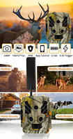 Caméra de chasse pour la faune BSTCAM, fournisseur d'usine, 4G, 36MP, étanche IP67, avec vision nocturne