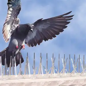 Bán buôn Trung Quốc nhà máy các nhà sản xuất thép không gỉ chim gai tính năng chống chim gai chống Pigeon