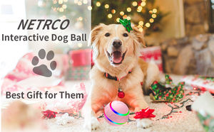 צעצועי כלבים אינטראקטיביים-2025 חדש מושקע מופעל אוטומטית נמקם ומסובב כדור עבור כלבים מ '/l - Product Image 6