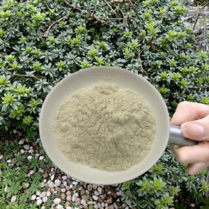 Isolat de protéines de pois chiches de qualité alimentaire naturelle à 99 %, extrait par solvant, extrait végétal en emballage en fût - Product Image 3