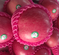 Verse FUJI rode appels, zoete vruchten, export groothandel, beste prijs, China FUJI appel