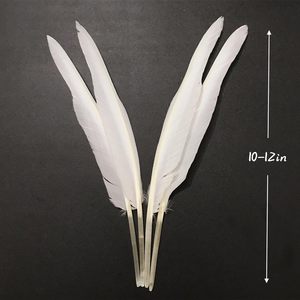 Ngỗng Đen lông cho đám cưới thủ công trang trí nhà gói của <span class=keywords><strong>100</strong></span> vật làm và vật làm vật Cung cấp Thổ Nhĩ Kỳ lông bút lông - Product Image 3