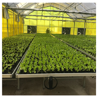 Table de culture à prix d'usine, grande taille, équipement agricole hydroponique pour serre, lit de culture mobile à roulettes pour fleurs et légumes
