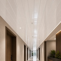 Panel de Techo de PVC Blanco Brillante para Pasillos Comerciales WYRAX, 200 mm x 7,5 mm, Ligero, Encastrable, Fácil Instalación