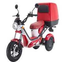 Certificat CEE Coc Tricycles électriques fabriqués en Chine Wuxi City Factory 1500W Modèle longue portée Scooter électrique