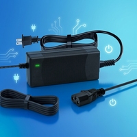 Chargeur de batterie intelligent certifié UL1310, 18,25 V 4 A, LiFePO4 5S, phosphate de fer et de lithium, câble rétractable 73 W pour l'alimentation