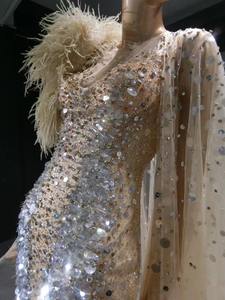 QUEENS kıyafeti muhteşem Mermaid şampanya Sequins boncuklu devekuşu tüyü kostüm gösterisi elbise moda gösterisi akşam elbise - Product Image 5