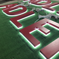 Conception personnalisée gratuite de logo 3D en acier inoxydable, enseignes en acrylique LED, lettres en métal éclairées pour les bâtiments en extérieur