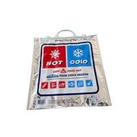 Sac isotherme de transport, isolation thermique 24 heures, grande capacité, feuille d'aluminium pour aliments chauds et congelés, impression personnalisée
