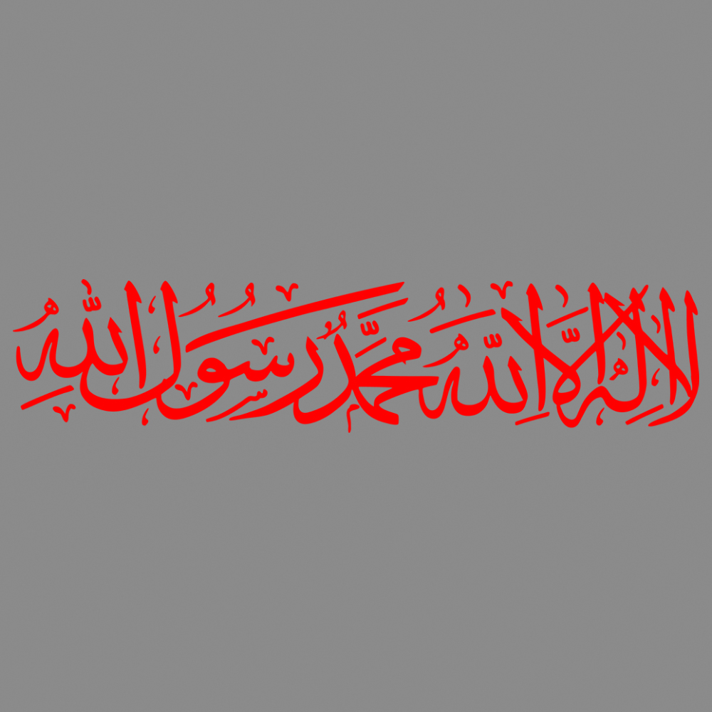 TZ531-1-rojo
