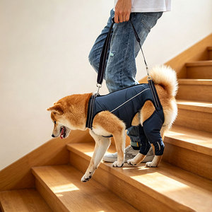 <b>Pet</b> Dog Lift <b>Harness</b> Support Sling for Elderly Dogs Joint Injury Arthritis Outdoor Walking Helper Adjustable <b>Pet</b> Lifting <b>Harness</b> - Product Image 6