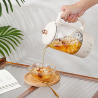 Bouilloire Électrique Mini Blanche de 800 ml avec 6 Menus Automatiques, Infuseur et Verre, Taille Compacte 0,8 L pour Thé et Infusions Saines