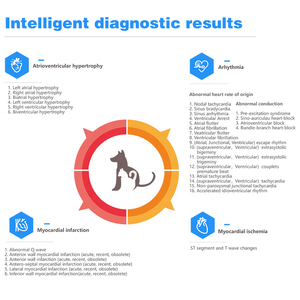Échocardiographe vétérinaire portable pour chiens, moniteur ECG canin, <span class=keywords><strong>appareil</strong></span> vétérinaire, échocardiogramme pour animaux de compagnie - Product Image 4