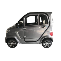 EEC 3kw Mini SUV électrique automatique à propulsion arrière avec direction hydraulique, autonomie maximale de 100 km NEDC, sièges en cuir, caméra arrière