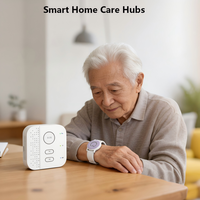Système de sécurité intelligent pour les soins aux personnes âgées, surveillance de la santé pour les seniors à domicile, hub intelligent avec connectivité 4G WIFI Ethernet