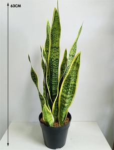 <span class=keywords><strong>ต้นไม้</strong></span>ในกระถางทำด้วยมือพืช<span class=keywords><strong>งู</strong></span>เทียมสำหรับตกแต่งบ้านในร่มกลางแจ้งสำนักงาน - Product Image 4