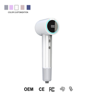 Sèche-cheveux ionique professionnel au design personnalisable avec diffuseur pour usage hôtelier, sèche-cheveux Bldc