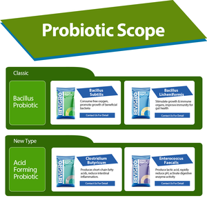 家禽用鶏ブロイラー層豚用飼料グレードBacillus Licheniformisプロバイオティクス飼料用乳牛魚エビ動物飼料 - Product Image 6