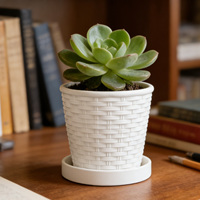 Baki Pot Bunga Plastik PP Resin Anyaman Imitasi, Tahan Lama, Lubang Drainase, Desain Tradisional, Pot Tanaman Dalam Ruangan, Sukulen, Berkebun di Rumah