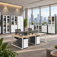 Armoire de classement en acier avec deux tiroirs côte à côte, portes vitrées et rangement inférieur verrouillable pour projets de bureau, fourniture OEM ODM