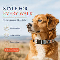 Ensemble collier et laisse pour chien 100% nylon, motif patte de dessin animé, doublure respirante et douce, tailles S-M-L, impression personnalisable, marque privée, accessoire pour chiot