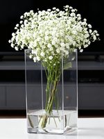 Vase carré en acrylique de luxe léger, haut de gamme, pour la maison, le salon, transparent, pour l'arrangement floral, rose, lys, fleurs fraîches