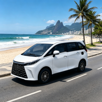 Véhicule électrique SUV de luxe 3500W haute puissance longue portée 5 portes 5 places avec vitesse de 45 km/h capacité de charge de 1000 kg couleur personnalisée