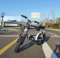 Nouveau modèle 2026 – Vélo électrique Fat Bike 20 pouces avec cadre en alliage d'aluminium, 250 W, puissant, pour neige et plage