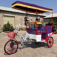 Tricycle à pédale avec auvent vente chaude de haute qualité ZHENDA tout nouveau produit transport spécial à vendre