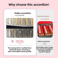 FEIFAN Factory Wholesale Diatonic 17-Key 8-Bass Portable Accordion Keyboard Instrument for Children's Beginner Practice