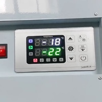 Congélateur commercial à température unique Mr Frio, vitrine à glace, sans givre, compresseur Danfoss, deux portes, en acier inoxydable