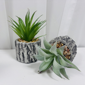 Decoración Nórdica para Sala de Estar, Maceta Pequeña, Decoración de Supermercado, Planta Verde de Simulación, Adornos de Bonsái, Exhibición para el Hogar, Hermosos Accesorios <span class=keywords><strong>Antiguos</strong></span> - Product Image 2