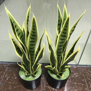 50cm 16 <span class=keywords><strong>hojas</strong></span> bonsái serpiente planta plástico borde amarillo serpiente artificial planta - Product Image 2