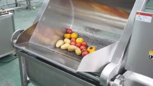 Machine à laver commerciale à ozone et à bulles pour fruits, maïs et légumes avec réservoir basculant - Product Image 3