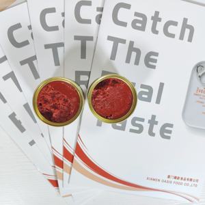 Pasta de <span class=keywords><strong>Tomate</strong></span> Enlatada al Mejor <span class=keywords><strong>Precio</strong></span>, Ketchup y Pasta de <span class=keywords><strong>Tomate</strong></span> Enlatados - Product Image 4
