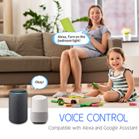Touchmi vente en gros 220V maison intelligente télécommande commutateurs de lumière prise en charge Alexa Yandex Alice Tuya interrupteur intelligent