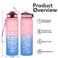 Taşınabilir 32oz BPA İçermeyen Tritan Sızdırmaz Motivasyonel Su Şişesi, Zaman Göstergeli ve UV Baskılı Logolu, Yürüyüş ve Seyahat İçin