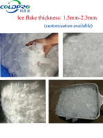 Machine à glace en flocons 500 kg, 220V 50/60Hz, monophasé, avec bac à glace