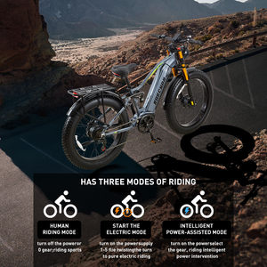 Dual Motor Mountain Bike BURCHDA RX80 48V20AH 26" 4.0 Hydraulic 120-130 N.m Lithium <b>Battery</b> Adult Full Suspension Dual Motor Pro - Product Image 6