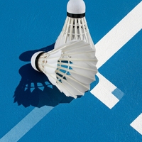 Volant de badminton d'entraînement Lingshang LS200 en plumes d'oie, plume de canard de haute qualité, super durable et écologique