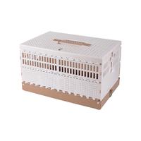 Cage de transport pliable en plastique pour oiseaux S M, boîte d'entraînement pour pigeons de course, cage de voyage portable et ventilée pour le libération des pigeons