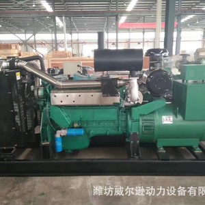 Weifang Steyr 200kW Diesel Generator Set 400V 50Hz <b>Three</b> Phase AC Synchronous Generator - Product Image 3
