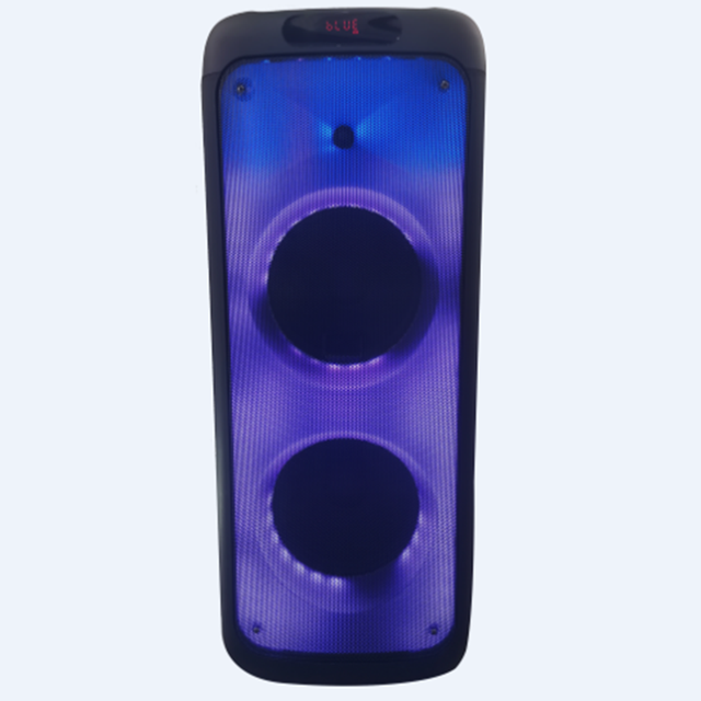 High Quality Sound Speaker Double 10 Inch Woofer Portable Speaker