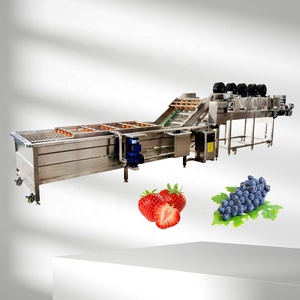 Máquina Automática para Lavar Verduras y Frutas, Limpiadora de Burbujas para Jengibre y Ajo - Product Image 6